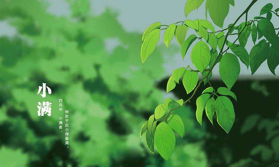 2023小满节气给客户的问候短信祝福语精选70句