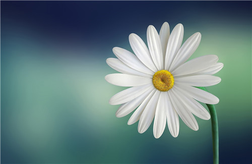 1595399006773453.jpg 9d8be927bfaf436583038a62921fd1ee.jpg