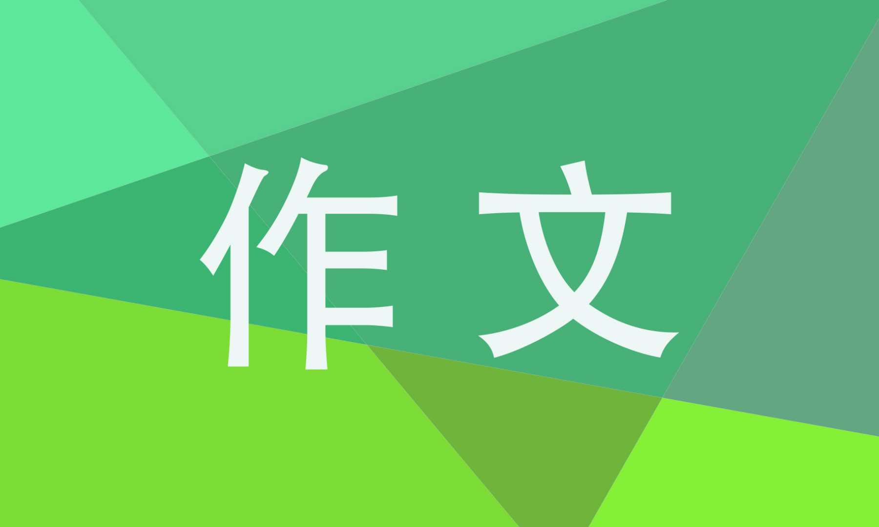 2026成人高考作文800字10篇