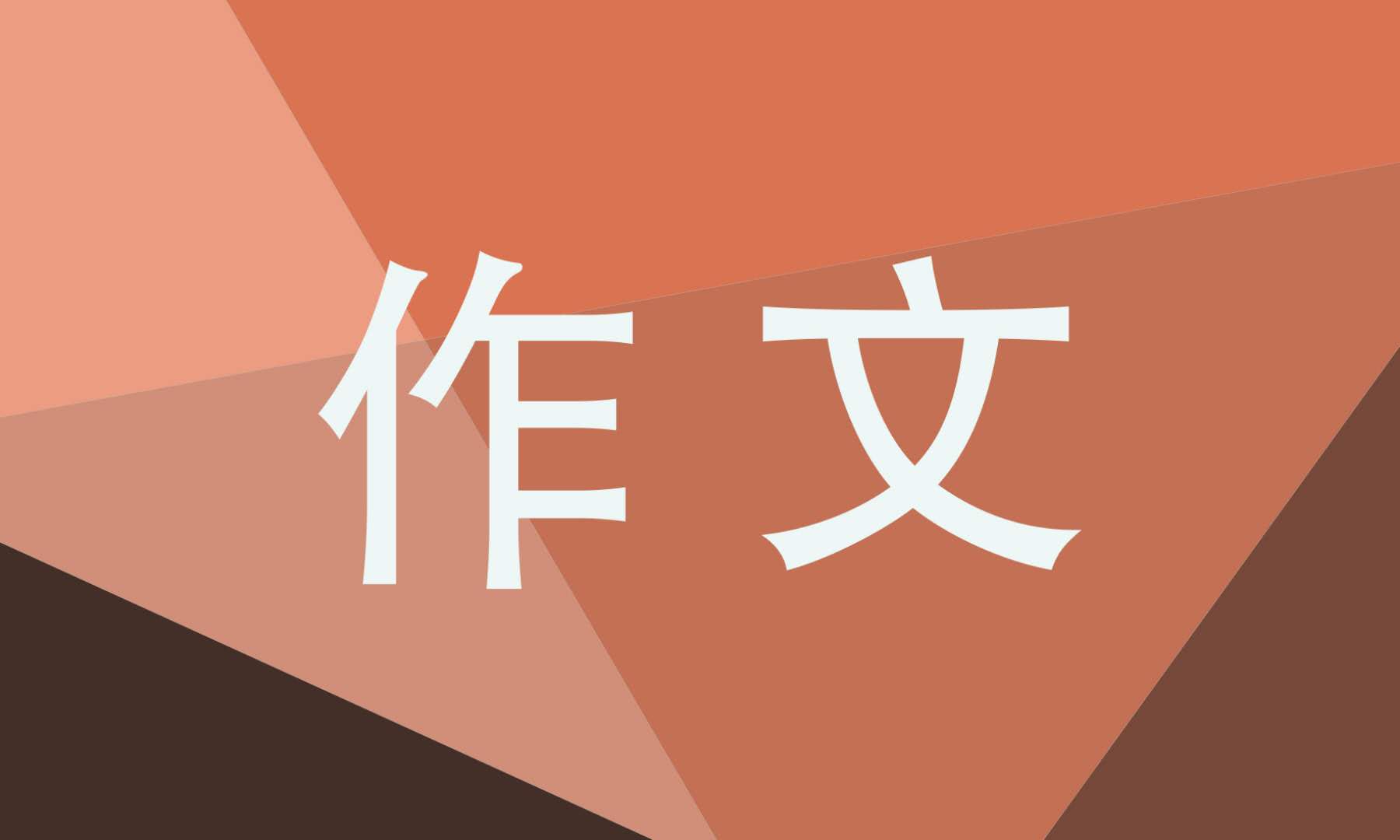 2026元旦节满分作文800字10篇