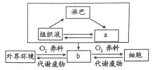 高二生物必修三重要知识点