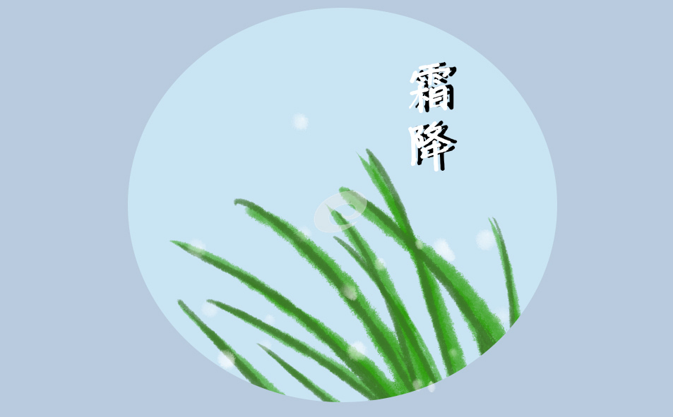 为什么霜降后的苹果更好吃 为什么霜降后的苹果更好吃